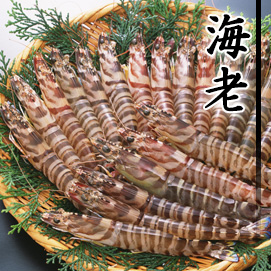 海老