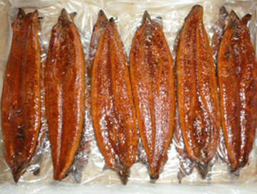 Eel2 Eel2