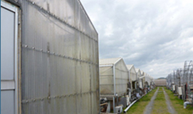 asda_07 asda_07