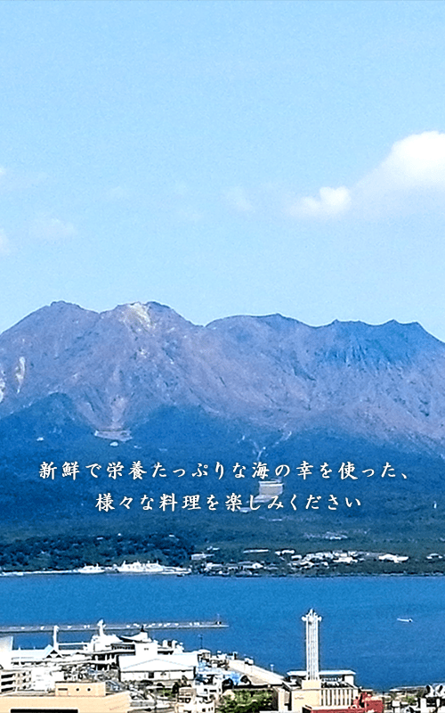 sp_top